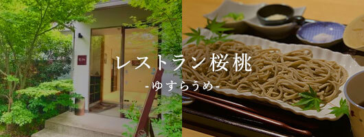 お庭を眺めながら落ち着いた空間で、季節のお料理を