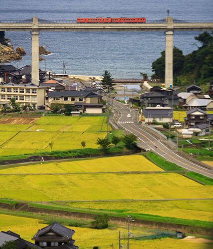 まる屋の周辺の景色